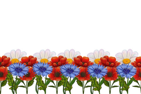 A vibrant floral border featuring red poppies, blue cornflowers, and white daisies against a white background. Ideal for decorative purposes.の写真素材