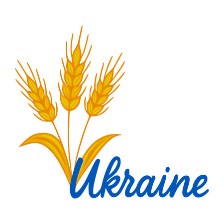 A vector illustration featuring three stylized wheat stalks in golden hues, subtly positioned behind a bold blue cursive Ukraine script, creating a design evocative of Ukrainian national identity...のイラスト素材