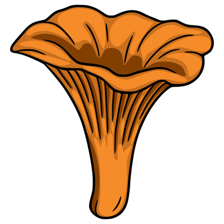 A vector illustration of a chanterelle mushroom, showcasing its unique funnel shape and vibrant orange hue, detailed with dark outlines for a hand-drawn aesthetic.のイラスト素材