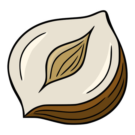 A whimsical vector illustration of a halved hazelnut, showcasing its creamy interior and rich brown shell, drawn in a cartoon style with bold outlines.のイラスト素材