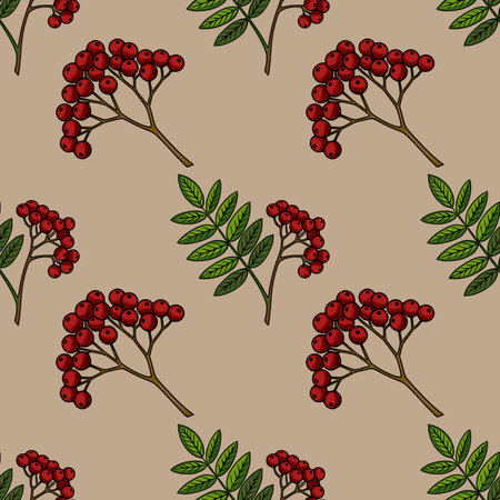 Seamless vector pattern of hand-drawn rowan branches with red berries and green leaves on a beige background, perfect for autumn-themed designs and textile prints.のイラスト素材