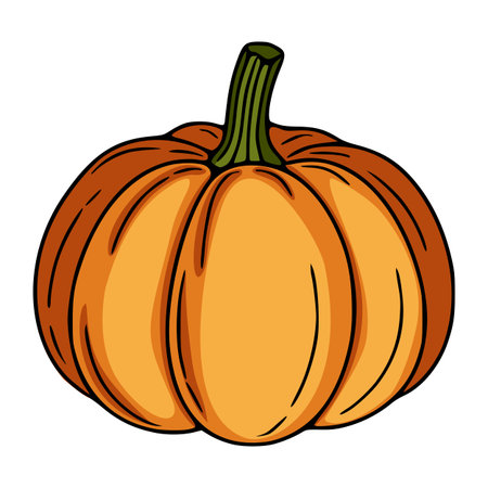 A vibrant vector illustration of a single, ripe pumpkin with a detailed, hand-drawn style, showcasing its smooth orange skin and defined segments, set against a clean white background.のイラスト素材