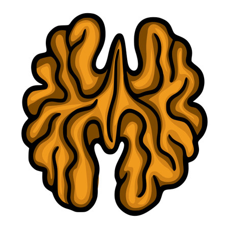 Vector illustration of a stylized walnut half, showcasing a unique wavy texture and rich brown color palette, perfect for design projects needing a natural and organic feel.のイラスト素材