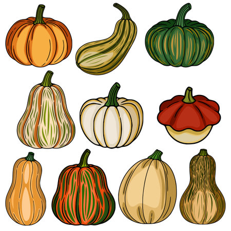 A vibrant vector illustration showcasing a diverse collection of hand-drawn pumpkins and squashes, each with unique color variations and textures, ideal for autumnal designs.のイラスト素材