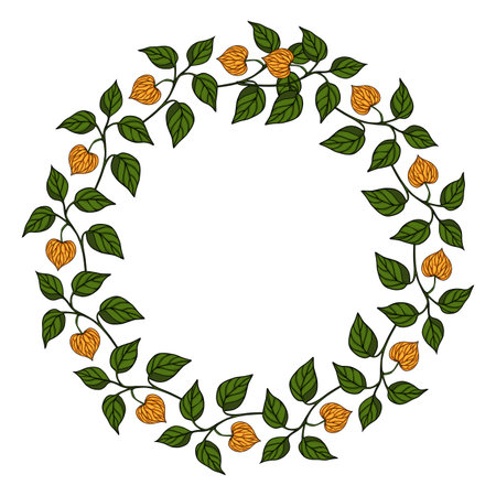 Elegant vector round frame with physalis branches and leaves, perfect for invitations, cards, or decorative elements.のイラスト素材