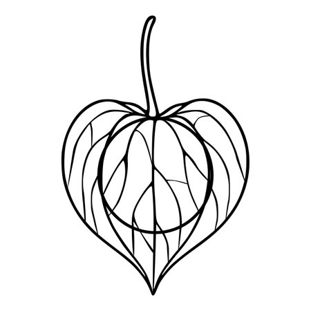 Elegant vector illustration of a stylized physalis plant with heart-shaped leaves and intricate line art detailing, perfect for design projects needing a touch of botanical sophistication.のイラスト素材