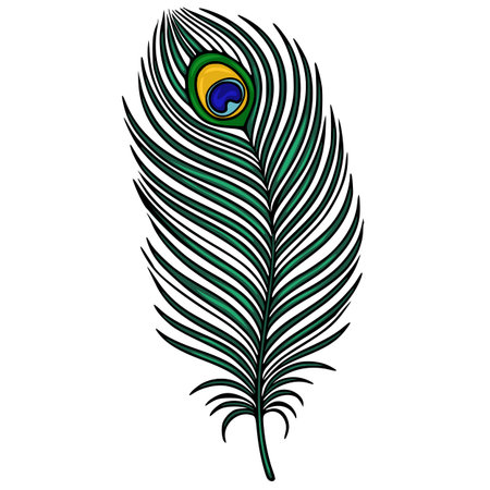 Detailed vector illustration of a single peacock feather with vibrant green, blue, and yellow eye, showing intricate linework and a realistic style.のイラスト素材