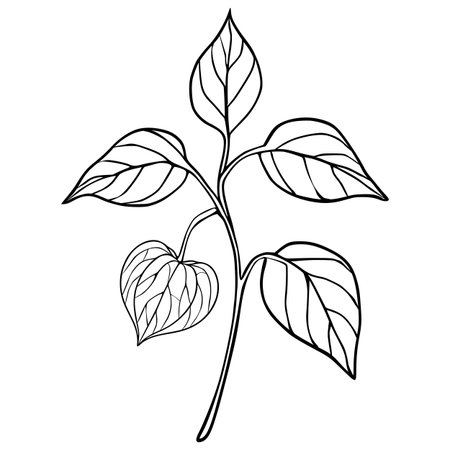 Elegant vector illustration of a stylized plant branch with heart-shaped leaves and detailed vein patterns, perfect for botanical designs or minimalist decor.のイラスト素材