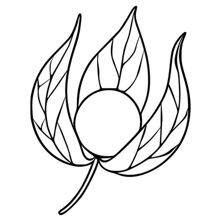 Elegant vector illustration of a stylized floral element featuring a central circle enveloped by intricately detailed leaves, perfect for design projects requiring a touch of sophisticated nature.のイラスト素材