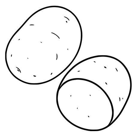 A vector illustration of two hand-drawn potatoes, one whole and one halved, showcasing a simplistic, black-and-white style perfect for culinary designs.のイラスト素材