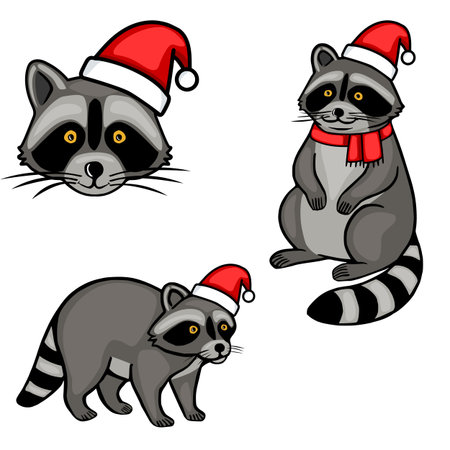 A charming vector illustration featuring three adorable raccoons in Santa hats, one a close-up face, one sitting, and one standing, showcasing a playful and festive Christmas spirit.のイラスト素材