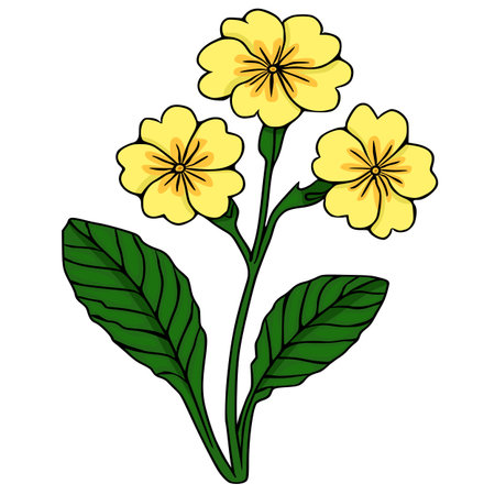 Stylized vector illustration of a blooming primrose flower with vibrant yellow petals and lush green leaves, on a clean white background.のイラスト素材
