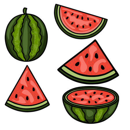 Vibrant vector illustrations of a whole watermelon and its slices, showcasing juicy red flesh and green rind with bold outlines.のイラスト素材