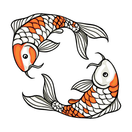 Vector illustration of two decorative koi fish in a Yin Yang formation, white and orange scales, clean lines, isolated on white background.のイラスト素材