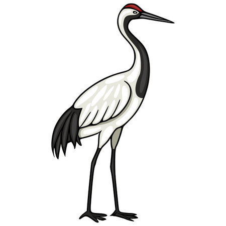 Elegant Red-crowned Crane vector illustration, isolated on white backgroundのイラスト素材