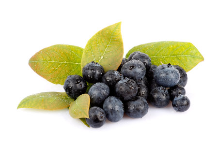 Fresh blueberriesの写真素材