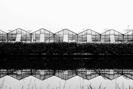 Glass greenhouse and hedge reflected in the waterの写真素材