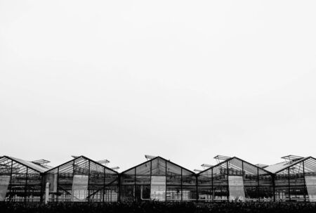 Greenhouse on the bottom with copy spaceの写真素材