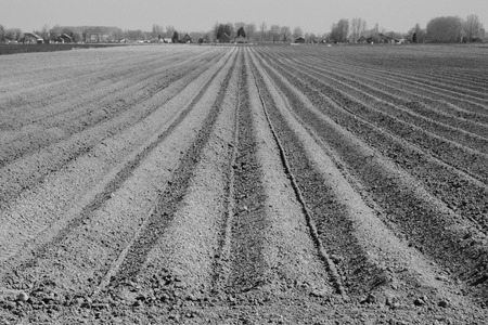 In straight lines ploughed field ready for new crops.の写真素材