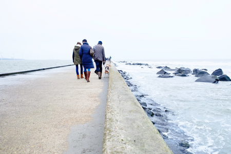 Family and dog on pier by the ocean. Back view.の写真素材