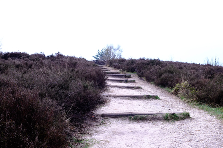 Path with steps  at the Posbank in Rheden, National park Veluwe, Netherlands.