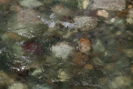 The green water