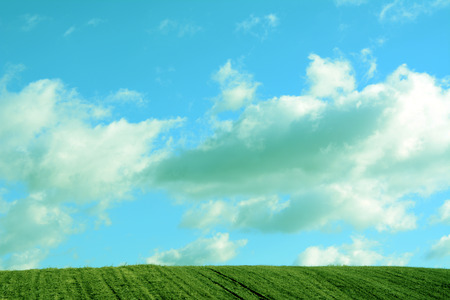 A beautiful landscape view of grass field and sky full of clouds.の写真素材
