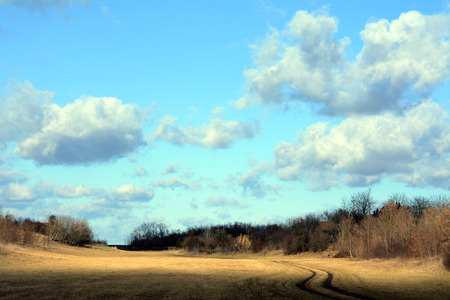 A beautiful landscape with fields, blue sky with clouds and forest.の写真素材