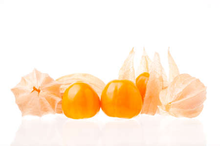 Organic physalis on white backgroundの写真素材