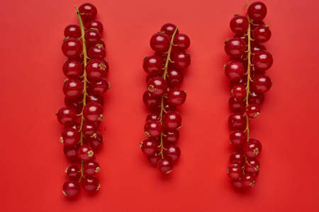Creative layout made of red currant on colorful background. Flat lay. Food concept.の写真素材