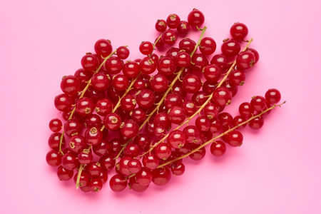 Creative layout made of red currant on colorful background. Flat lay. Food concept.