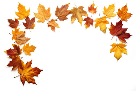 Autumn Leaves Frame, dried fall leaves isolated on a white background.