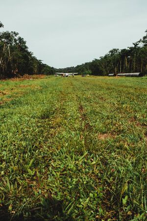small plane on rural airstrip, green runway, amazon