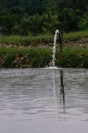 water source for fish farming pool, tilapia, ecuadorの写真素材
