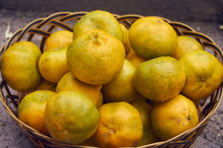 yellow ripe tangerines in a basket, green tones, big fruitの写真素材