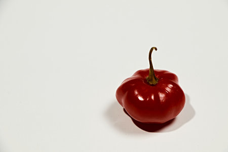 Red hot chili peppers on white backgroundの写真素材