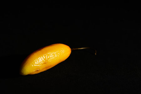Red hot chili peppers on black backgroundの写真素材