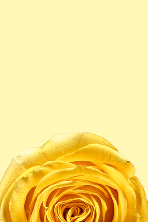 Valentine's Day. Flowers composition. Round frame made of rose flowers, confetti on white background. Valentines day background. Flat lay, top view, copy space.の写真素材