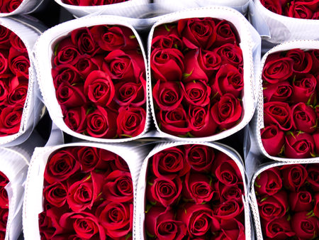 Flowers for sale in a special cold room with air conditioning. refrigerator for flowersの写真素材