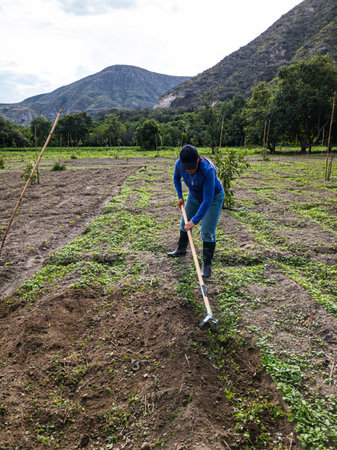 Women Tilling the land Nature in Growth, agriculture fertile groundの写真素材