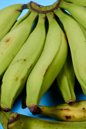 Fresh green banana on blue background, maqueno barraganete dominicoの写真素材