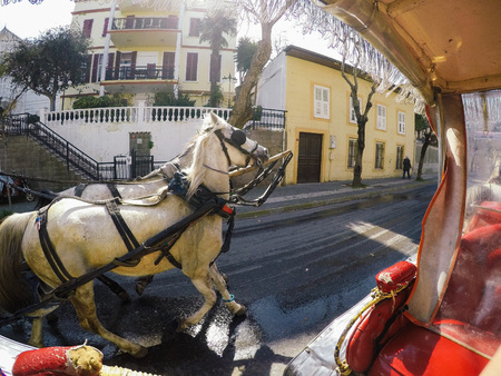 Follow the horse carriage in Istanbul, Turkeyの写真素材