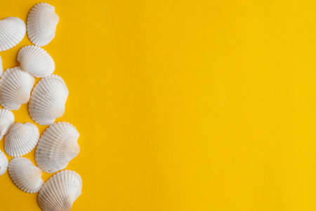 Composition of exotic sea shells on a yellow  background. Summer concept.の写真素材