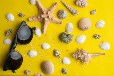 Sea shells and sun glasses on yellow background. Summer vacation and sea concept. Copyspace for textの写真素材