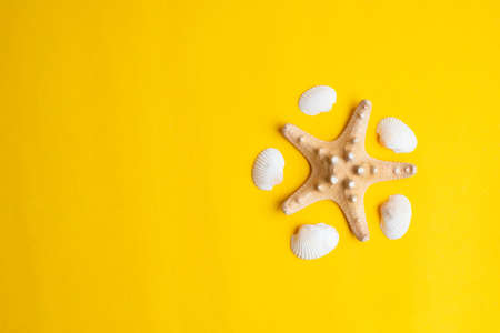 Composition of exotic sea shells on a yellow background. Summer concept. Top Viewの写真素材