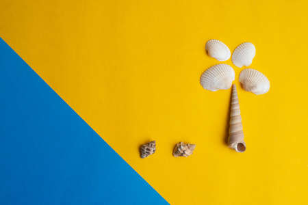 Composition of exotic sea shells on a yellow and blue background. Summer, sea and palm tree concept....