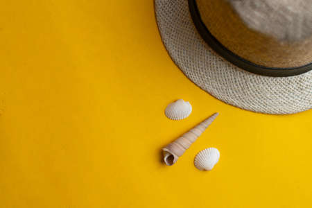 Summer accessories, panama hat and sea shells on yellow background. Summer vacation and sea concept. Percent concept. Copyspace for textの写真素材