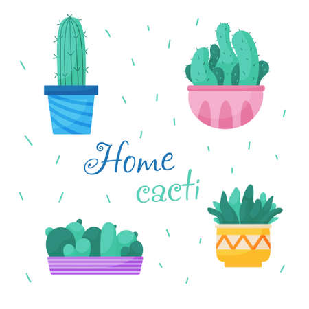 Set of trendy, vector, indoor plants in pots for home. Cacti isolated on white background. Bright flat illustrationsのイラスト素材