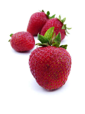 Organic strawberries from the field in white and black backgroundの写真素材
