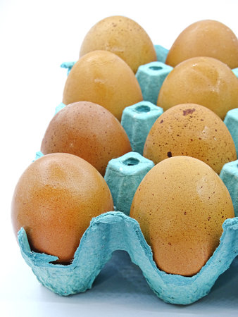 Organic brown eggs in cardboard package. Organic village eggs provide higher protein.の写真素材
